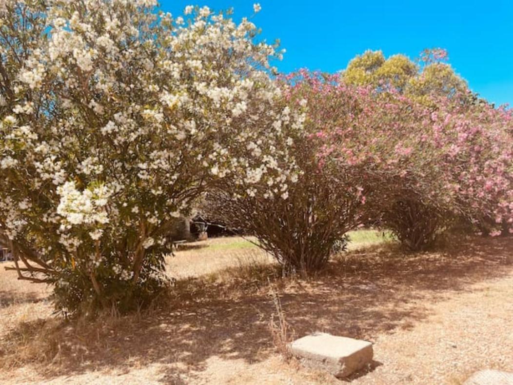 Casa Cote Sud - Mas Bois Fontaine Βίλα Νιμ Εξωτερικό φωτογραφία